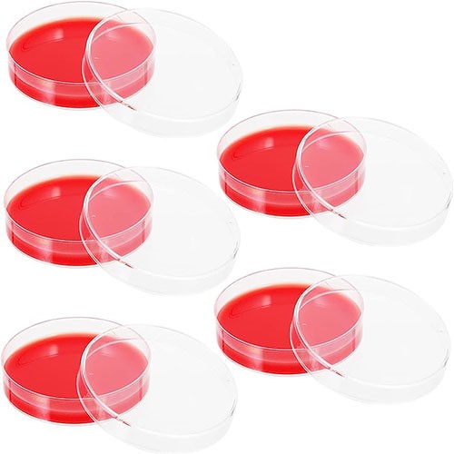 محیط کشت آماده بلاد آگار Blood Agar