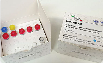 hbv detection and quantitation kit