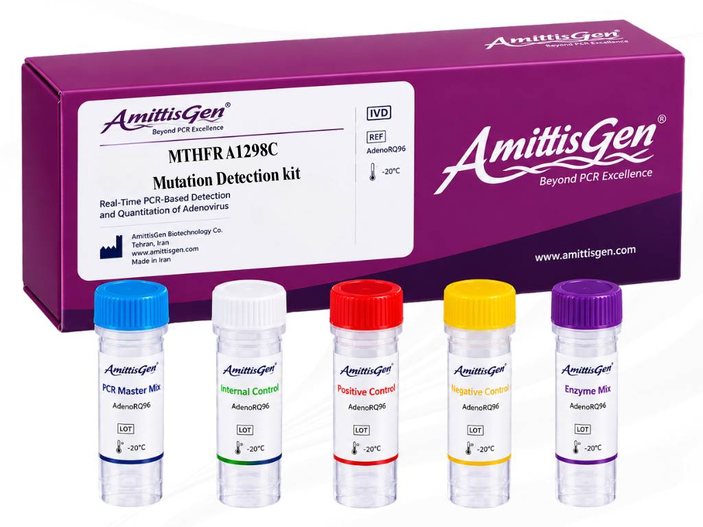 کیت تشخیص مولکولی MTHFR A1298C Mutation Detection Kit