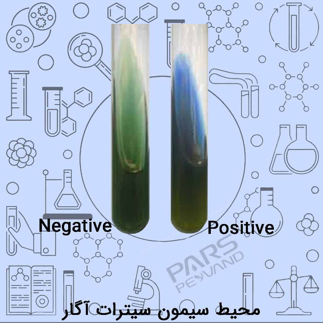 محیط کشت سیمون سیترات آگار (Simmons Citrate Agar)