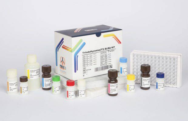 کیت الایزا T3