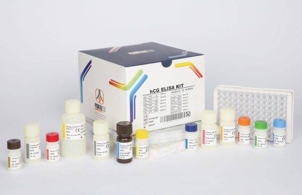 کیت الایزا hCG 
