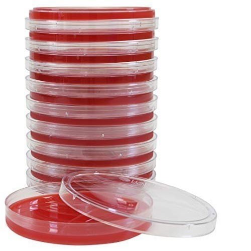 محیط کشت آماده بلاد آگار Blood Agar