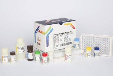 کیت الایزا Prolactin