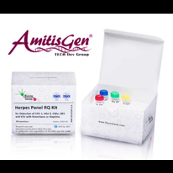 Herpes Detection Kit (CMV/EBV/ HSV/VZV)