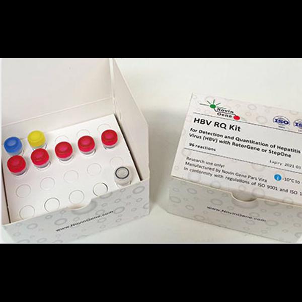 hbv detection and quantitation kit