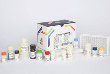 کیت الایزا Ferritin