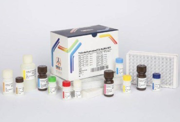 کیت الایزا T3