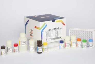 کیت الایزا hCG 